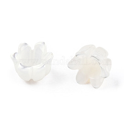 Bouchons de perles de coquillage blanc naturel&nbsp;SSHEL-N032-58A