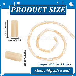 1 filo di perline di conchiglia d'acqua dolce naturale&nbsp;BSHE-PH0001-55B