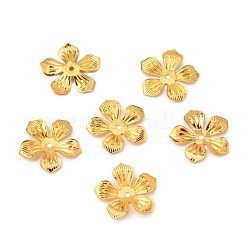 5-pétalescoupelles en fer&nbsp;IFIN-WH0070-05G