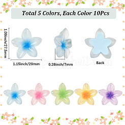 50 Stück 5 Farben transparente Harz Cabochons&nbsp;RESI-SC0006-24