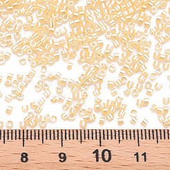 GlasZylinderförmigperlen&nbsp;SEED-S047-G-004