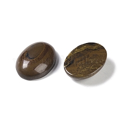 Natürliche Tigereisen-Cabochons&nbsp;G-B080-01A-07