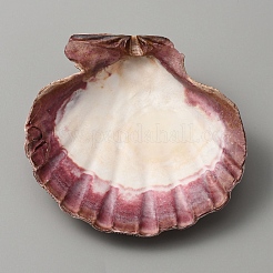 Natürliche Muscheldekoration&nbsp;DJEW-WH0042-30A