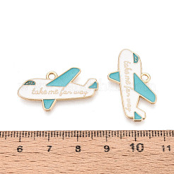 Emaille Anhänger Legierung&nbsp;FIND-B007-04LG
