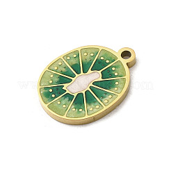 Pendentifs en acier inoxydable 304 émaillés&nbsp;STAS-I335-02G-03