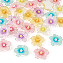 30 Stück 6 Farben transparente Harz Cabochons&nbsp;RESI-TA0004-45