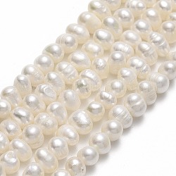 Brins de perles de culture d'eau douce naturelles, pomme de terre, beige, 5~5.5x6~7x5~6mm, Trou: 0.7mm, Environ 65 pcs/chapelet, 13.70 pouce (34.8 cm)
