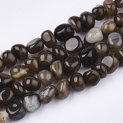 Natural Dragon Veins Agate Beads Strands, Tumbled Stone, Dyed, Chip, Coconut Brown, 7~9x6~9x6~10mm, Hole: 1.5mm, about 50pcs/strand, 14.5 inch