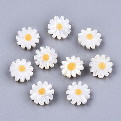 Coquille de nacre blanche naturelle, fleur, couleur de coquillage, 10x5mm, Trou: 0.8mm