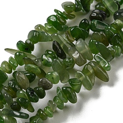 Chapelets de perles de jade naturel, puce, 1.5~5x3~13x2~8mm, Trou: 0.6mm, 30.94~31.97'' (78.6~81.2 cm)