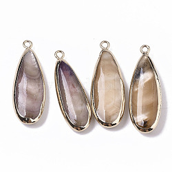 Natural Freshwater Shell Pendants, with Iron Loops, Edge Golden Plated, Dyed, Teardrop, Bisque, 31~33x10.5~12x5mm, Hole: 1.8mm