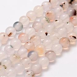 Brins de perles en agate dendritique naturelle, ronde, 6mm, Trou: 1mm, Environ 62 pcs/chapelet, 14 pouce