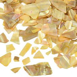 Fragment naturel de mica de coquille d'ormeau/paua, décorations d'art d'ongle, tranches de mica coquille, teinte, or, 1~20x1~15x0.5mm