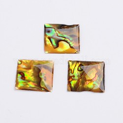 Cabochons de coquille d'ormeau carré / coquille de paua, colorées, 15x15x2mm