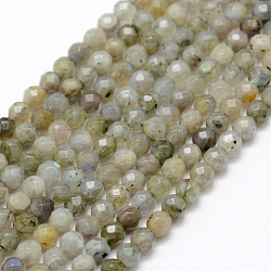 Chapelets de perles en labradorite naturelle , ronde, facette, 4mm, Trou: 1mm, Environ 107 pcs/chapelet, 15.1 pouce (38.5 cm)