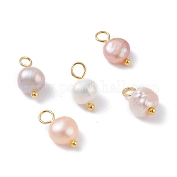 Ciondoli di perle d'acqua dolce coltivate naturali, con perni a testa sferica in ottone dorato, ovale, colore conchiglia, 10~12x5.5~7x4.5~6mm, Foro: 2.4~2.7 mm