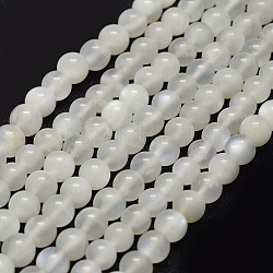 Naturelles perles pierre de lune blanc brins, ronde, 10mm, Trou: 1mm, Environ 38 pcs/chapelet, 15.7 pouce (40 cm)