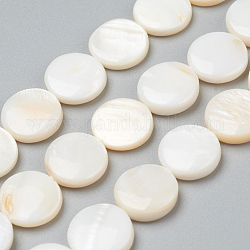 Perles de coquillages naturels d'eau douce, plat rond, 12.5~13x3~4mm, Trou: 0.5mm, Environ 31 pcs/chapelet, 15.55 pouce (39.5 cm)
