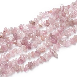 Натуральный мадагаскар розовый кварц бисер пряди, чипсы, 6~11x5~9x2~6 мм, отверстие : 0.5 мм, около 223 шт / нитка, 33.23 дюйм (84.4 см)