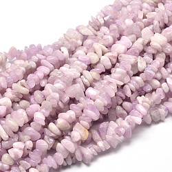 Kunzite naturale perline di chip fili, perle di spodumene, 5~14x4~10mm, Foro: 1 mm, circa 15.5 pollice ~ 16.1 pollici