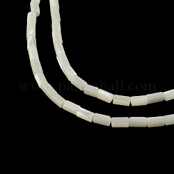 Columna de concha de troquídea natural / hebras de cuentas de concha de troco, 5~6x3.5mm, agujero: 0.5 mm, aproximamente 68 pcs / cadena, 15.7 pulgada