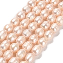 Natural Cultured Freshwater Pearl Beads Strands, Rice, Grade AB, PeachPuff, 10x8~9mm, Hole: 0.9mm, about 34~36pcs/strand, 13.58''(34.5cm)