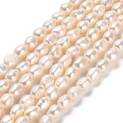 Natural Cultured Freshwater Pearl Beads Strands, Two Sides Polished, Grade 4A+, Linen, 5~6x4~5mm, Hole: 0.5mm, about 54~56pcs/strand, 12.99~13.98 inch(33~33.5cm)