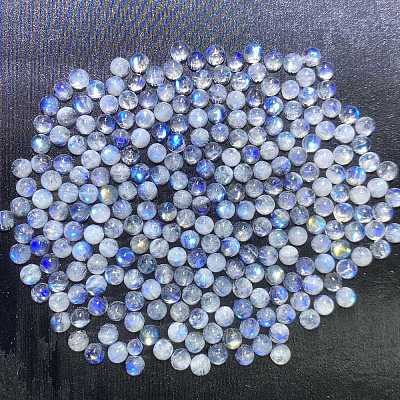 Natürliche Regenbogen-Mondstein-Cabochons&nbsp;X-G-PW0002-06B-1