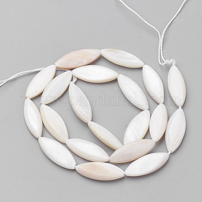 Shell perle naturali fili&nbsp;PBB220Y-1-1
