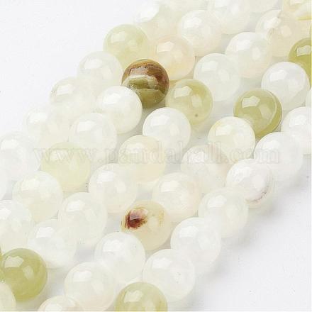 Natural Gemstone Beads Strands GSR10mmC008-1