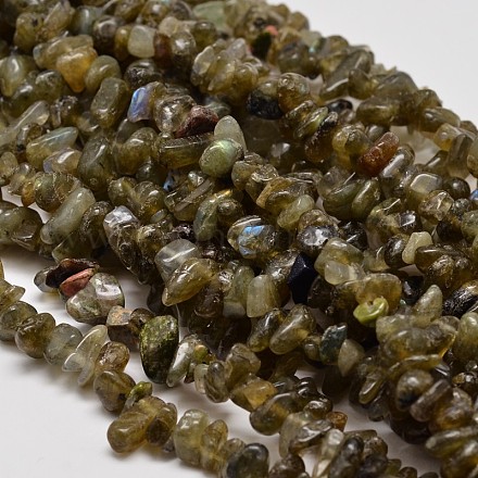Natural Labradorite Chip Beads Strands G-L269-29-1