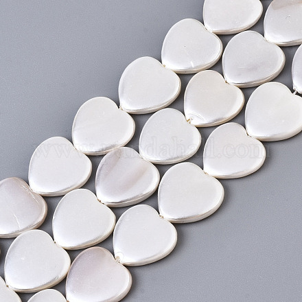 Galvaniser les brins de perles de coquillages naturels BSHE-Q034-003D-1