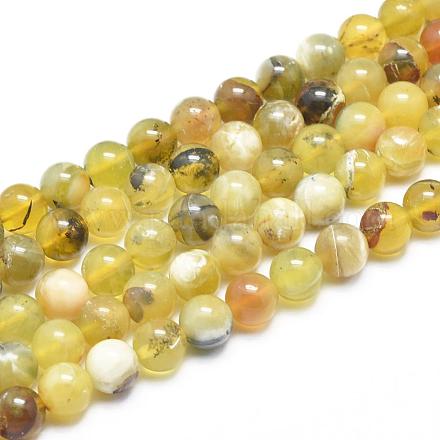 Opale jaune naturel brins de perles rondes G-M296-02-6mm-1