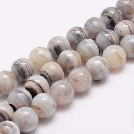 Chapelets de perles en agate rayée naturelle/agate à bandes G-K153-B08-12mm-1