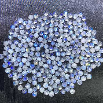 Natürliche Regenbogen-Mondstein-Cabochons&nbsp;X-G-PW0002-06B-1