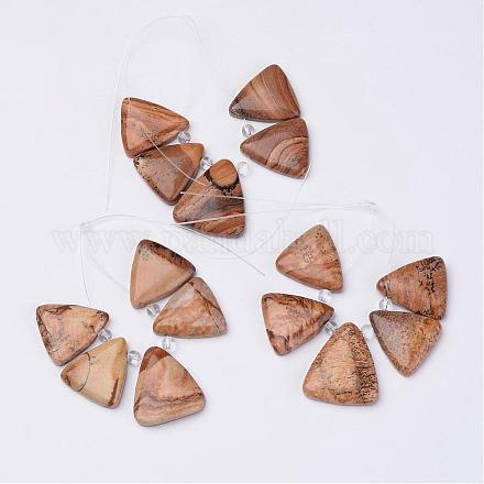 Natural Picture Jasper Beads and Glass Strands G-P139-01-1