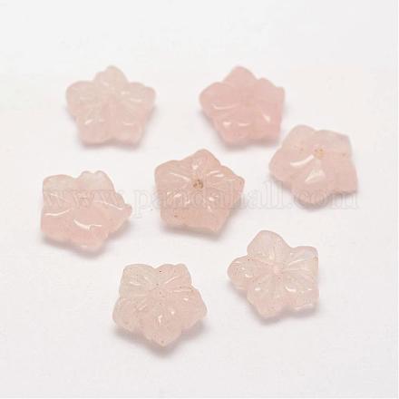 Natural Rose Quartz Beads G-P155-08D-1
