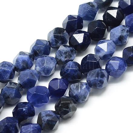Natural Sodalite Beads Strands G-S149-21-6mm-1
