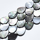Natural Black Lip Shell Beads SSHEL-N036-036-1