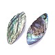 Perles de coquille d'ormeau naturel/coquille de paua BSHE-F006-07-2
