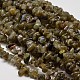 Natural Labradorite Chip Beads Strands G-L269-29-1