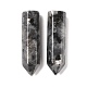 Natural Larvikite Pointed Pendants G-D460-01A-2