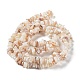 Chapelets de perles de coquillage naturel G-F328-45-5