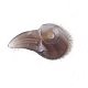 Naturali grigio agata pendenti&nbsp;PW-WG66D3D-04-1