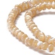 Fili di perle di conchiglia trochid naturale / trochus SSHEL-O001-24B-01-2