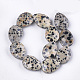 Chapelets de perles en jaspe dalmatien naturelle X-G-S354-05-2