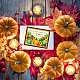 BENECREAT Autumn Thanksgiving Harvest Clear Stamp DIY-WH0167-56-1025-4