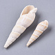 Natural Spiral Shell Beads SSHEL-S258-79-3