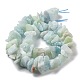 Chapelets de perles de puces aigue-marine naturelles G-M406-A01-4