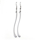 304 Stainless Steel Dangle Earrings EJEW-F055-01P-1
